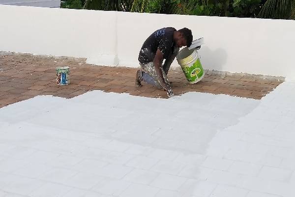 Embedded in our culture